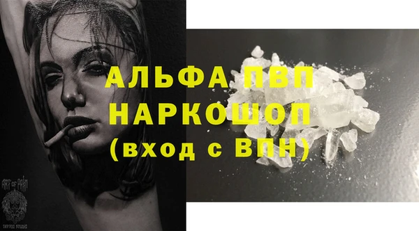 гидра Алексин