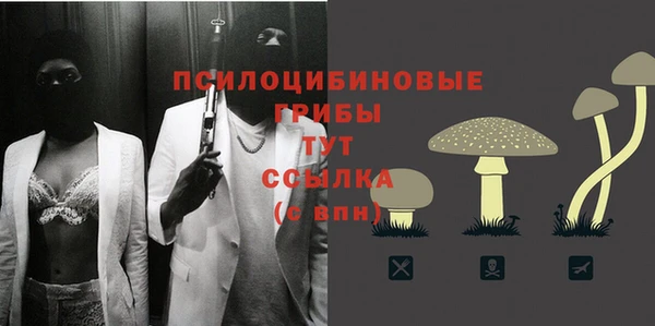 гидра Алексин