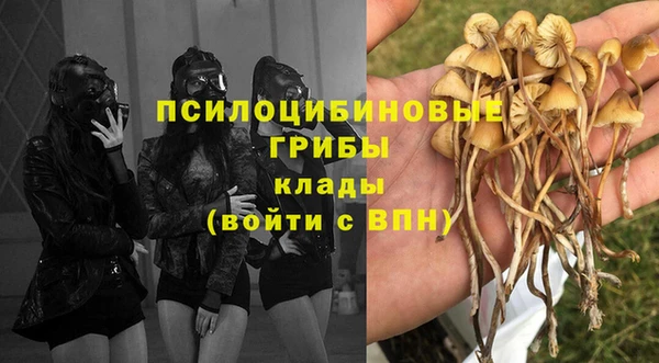 соль курить ск Алзамай